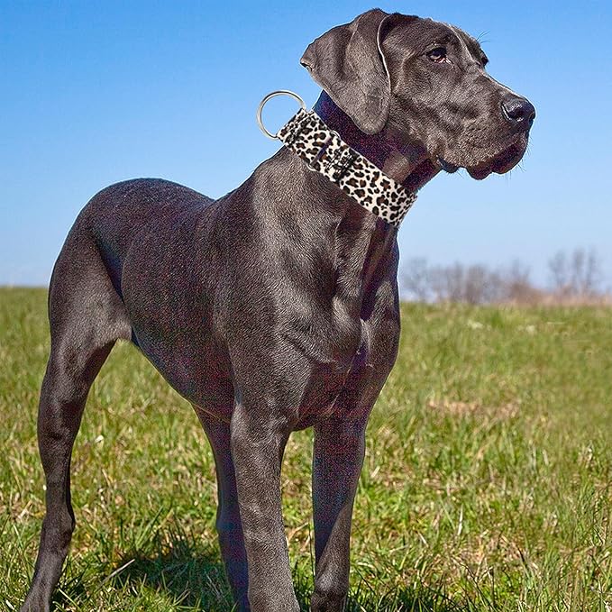 1.5 Inch Martingale Collar for Dogs - Dog Training - Big, Wide & Thick Dog Collar - Escape-Proof, Durable and Comfortable- for Large Breeds Walking, Running & Training -Leopard L