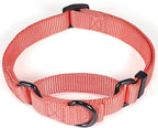 Premium Nylon Adjustable Anti-Escape Martintgale Dog Collars,Heavy Duty Metal Hardware for Medium Active Dogs Daily Walking,Training,etc... (Living Coral, Medium)