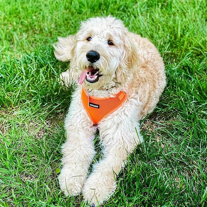 Voyager Step-in Pet Harness - All Weather Mesh, Adjustable Step in Harness for Cats and Dogs by Best Pet Supplies - Orange, XS