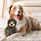 Sloth Dog Toy with Squeaker | Medium Toy Small Dogs | Plush Dog Toy | Multicolor | 6" | Officially Licensed