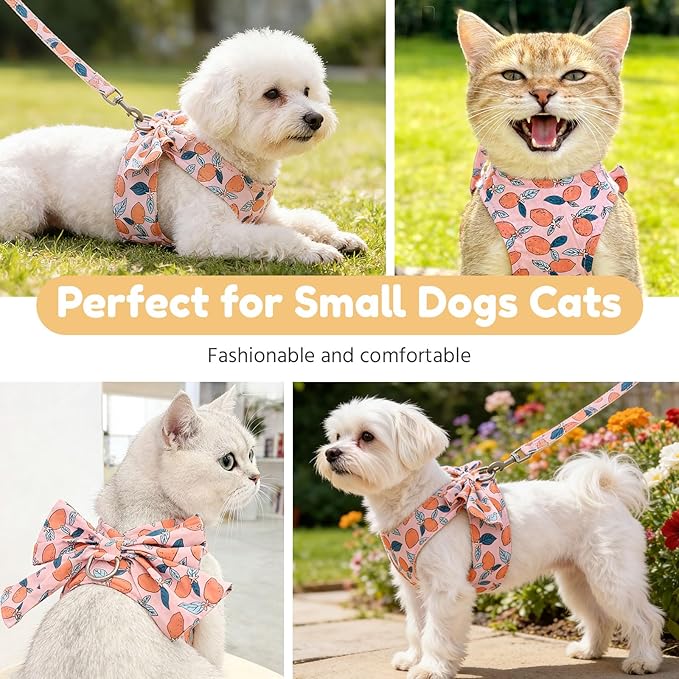BAEJMJK Dog Harness and Leash Set with Bow Knot No Pull Pet Floral Harness with D-Ring Soft Mesh Dog Harness Vest Set Escape Proof Princess Puppy Harness for Small Girl Dogs Cats（Orange M）