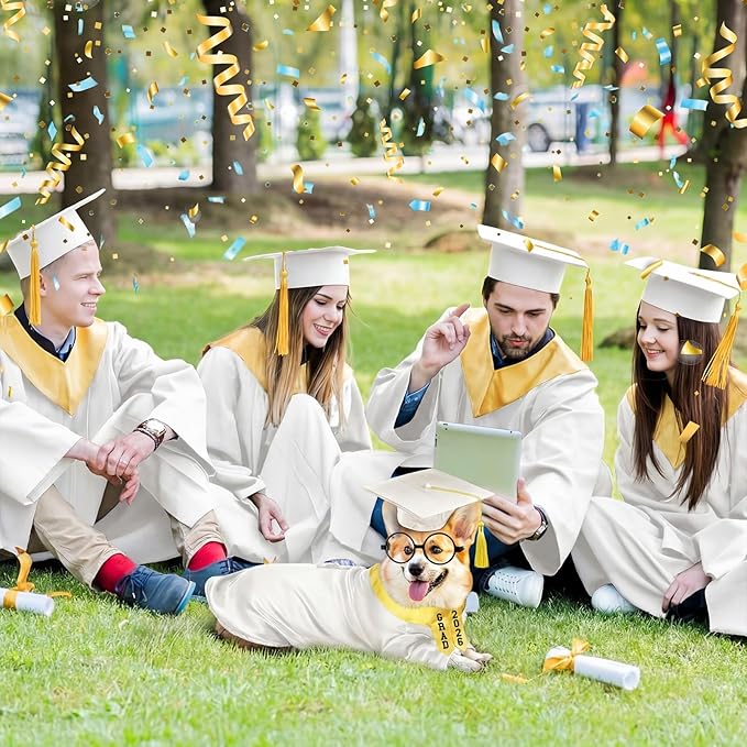 5 Pcs Dog Graduation Costume Set Include 2026 Pet Graduation Gown with Stole Puppy Grad Cap Lensless Glasses DIY Letter Stickers for Dogs Cats Holiday Costume Accessory(White Gold,M)