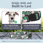 Lucky Love Dog Collars | Girl, boy Dog Collar for Small Medium Large Dogs - Comfortable, Soft, Cute - Laguna, Medium