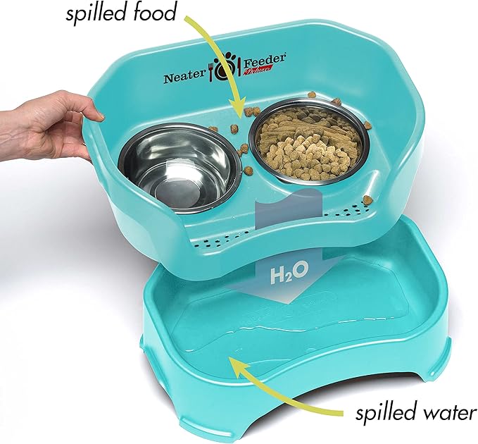 Neater Feeder Deluxe Mess-Proof Elevated Dog Bowls for Medium Dogs (19–40 lbs), 2 Height Adjustable (10” & 12.5”) No-Spill Raised Dog Bowl Stand, Stainless Steel Food Bowl Set, Made in USA, Aquamarine