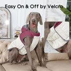 Detachable Hooded Dog Coat with Harness for Large Dogs,Super Warm Fleece Puppy Jacket for Cold Winter Doggie Coats,Red XXL
