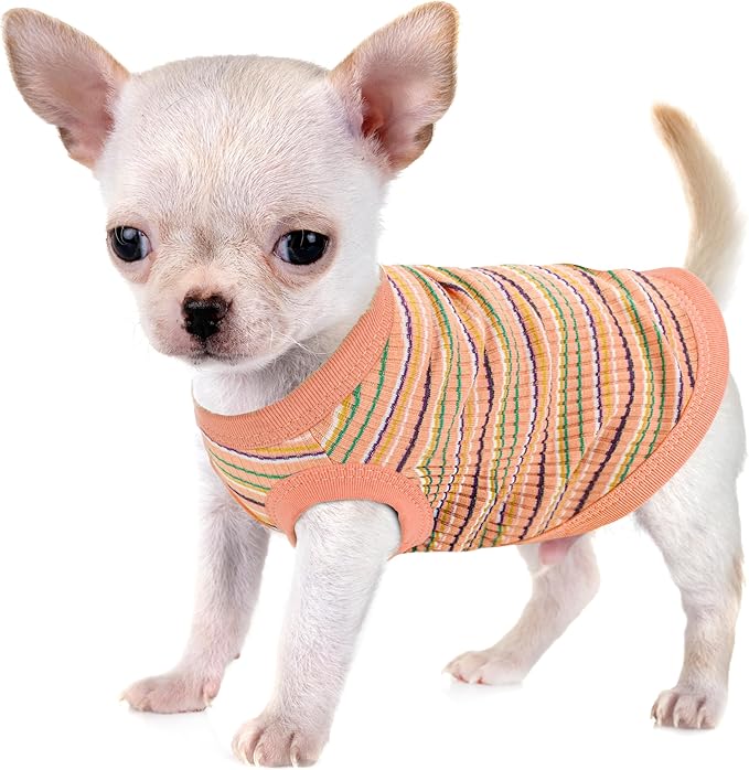 Elevate Your Pet's Comfort and Fashion: Premium 100% Cotton Rib Dog Shirt Vest for Small Breeds Like Chihuahuas, Yorkies, and Puppies .Year-Round Style with Tank-Style Puppy Attire Orange XX-Large