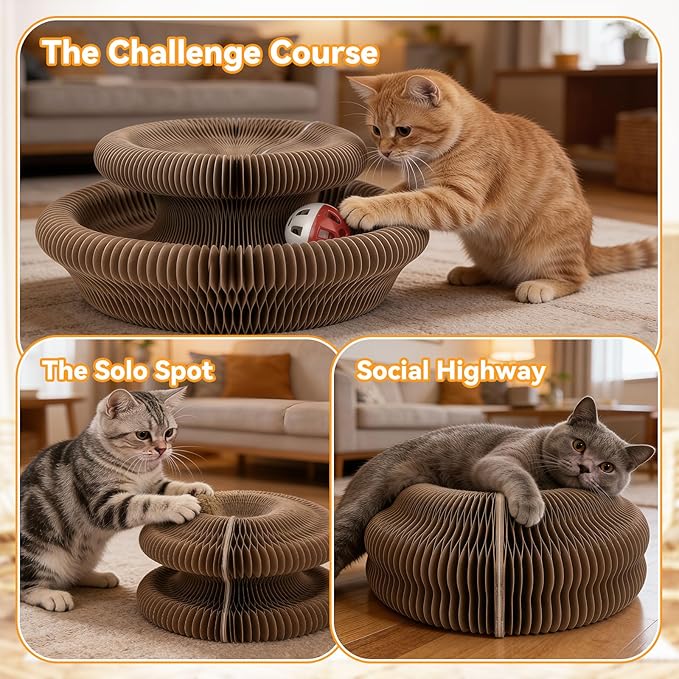 Meetory Magic Organ Cat Scratcher Board - Cat Ball Adventure, Thick & Large Connectable Cardboard Scratching Board with Bell Ball, The Ultimate Interactive Mental & Physical Exercise for Cats