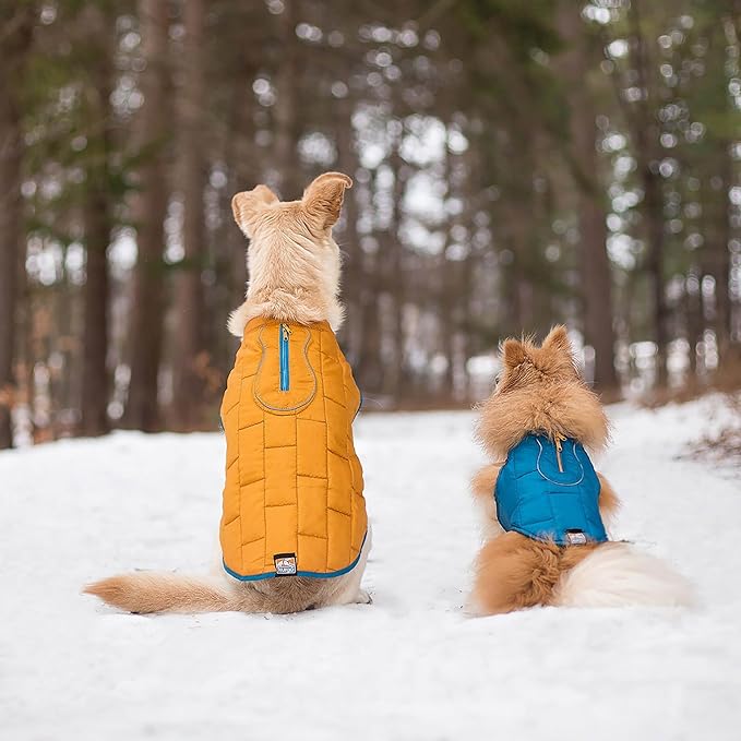 Kurgo Loft Dog Jacket - Reversible Cozy Coat for Outdoor Adventures - Water Resistant - Athletic Fit - Machine Washable Fabric - Reflective Dog Gear - Small - Coastal Blue