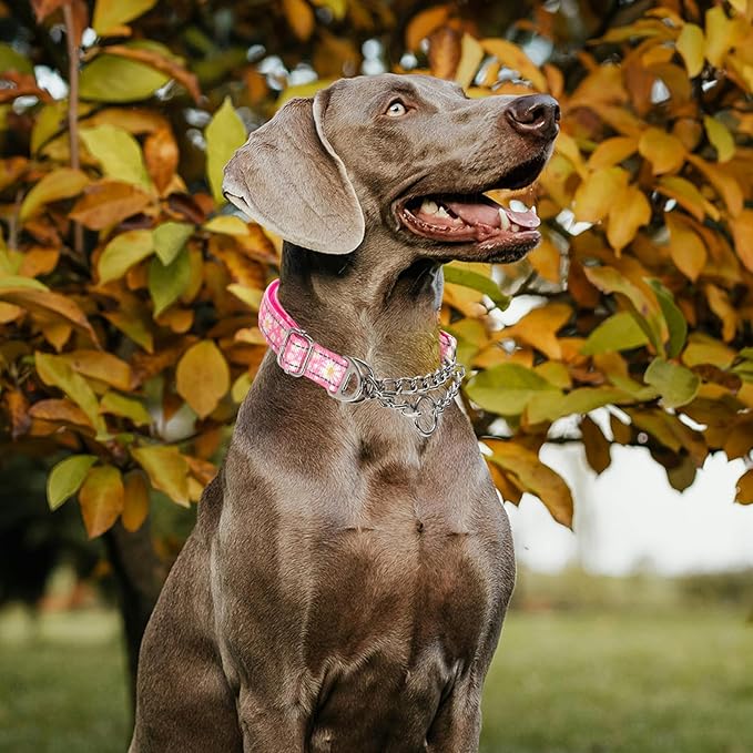Martingale Dog Collar Pink Daisy No-Slip Dog Collar Adjustable Comfortable Choke Chain Collars for Training & Walks（Pink Daisy XXL