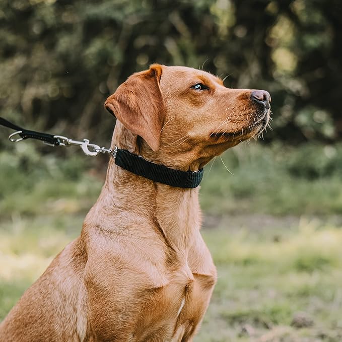 Herm Sprenger Black Nylon Cover for Ultra-Plus Pinch Dog Collar for Small Medium Large Dogs Durable Protector for Dog Training Prong Collar (18.5in (46.5cm))