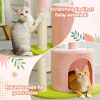 PAWZ Road Flower Cat Tree Pink 32” Small Cat Tower Cat Scratching Post with Curved Perch, Cozy Cats Condo Removable Flower Bed for Kittens and Small Cats-Pink