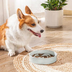 vancasso Slow Feeder Dog Bowl, 1.5 Cups Ceramic Dog Food Dish for Fast Eaters Small Breed, Puzzle Bowl for Small Dogs and Cats, Grayish Cyan
