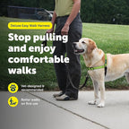 PetSafe Deluxe Easy Walk Harness - Trainer-Trusted Dog Chest Harness with Breathable Martingale Loop Design - Helps Stop Pulling with No Choking & Gagging - Medium/Large - Apple