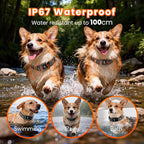 Small Shock Collar for Small Dogs，1300FT Dog Training Collar with Remote，4 Training Modes - IP67 Waterproof Rechargeable, Beep, Vibration, Safe Shock, IR for Small & Medium Dogs(5-30Lbs，Black)