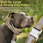 Mayerzon Martingale No Pull Collar for Large Medium Dogs, Patented Dog Walking Training Collar for Pulling, 1.5'' Wide Alloy Buckle, Neoprene Padded, Adjustable, Reflective, Easy to Use(XL, Brown)