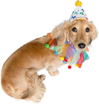 Pet Krewe Dog Clown Costume Happy Birthday Hat & Collar Outfit | 1st Bday Party, National Cat Day, Photo Shoots & Celebrations | Doggie & Puppy Clothes | Ideal Gift for Small, Medium & Large Pets