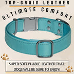 ADITYNA Leather Dog Collar with Metal Buckle - Heavy-Duty, Adjustable for Large & Extra Large Dogs - Walking & Training (Blue, Fits 19-30" Necks)