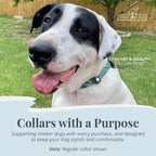 Lucky Love Dog Martingale Collar, Premium No Slip Martingale Collar for Medium Boy Dogs, Great for Whippets, Greyhounds, and More (Medium, Blue Laguna)