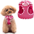 PUPTECK Dog Harness for Puppy and Small Sized Dogs, Step-in No Pull Soft Mesh Vest Harness for Cats Small Pets Walking, Fuschia, New S
