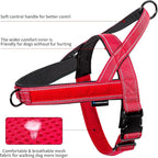 Annchwool No Pull Dog Harness with Padded Handle+5 Ft Leash,Reflective Strip Escape Proof and Quick Fit to Adjust Dog Harness,Easy for Training Walking for Small & Medium and Large Dogs(Red-Set,S)