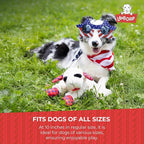 Multipet Lamb Chop Dog Plush Toy - Squeaky Toy for Small & Medium Dogs - Extra Soft Plush - Stuffed Animal for Cuddling & Playing (10",Cream,5 Squeakers),(Pack of 3)