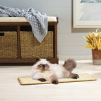 SAFAVIEH Cat Scratch Mat Pad Collection, 12" x 20" Oval, Natural Brown, Sisal Boucle Weave, Velcro & Slip Resistant Backing