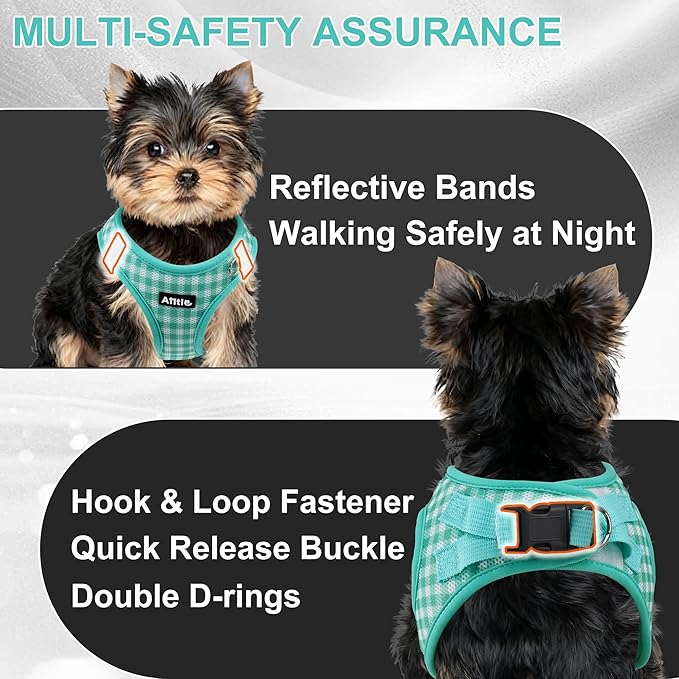 AIITLE No-Pull Pet Harness with a Leash, Plaid Comfort Padded Vest, Step in Dog Harness, Reflective Bands, Soft Breathable Pet Supplies, for Small and Medium Dogs and Cats Turquoise S