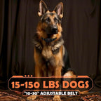PATPET Dog Training Collar, 1.2 Mile Range 101 Training Levels Dog Shock Collar with Remote Control (15-150 lbs), Waterproof 100% Safe E Collar for Large Breed for Dogs Black with Vivid Orange