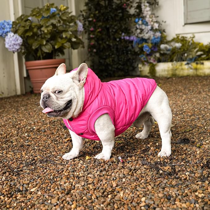 Fleece Lining Extra Warm Dog Hoodie in Winter for Large Dogs Jacket Pet Coats with Hooded Pink XL