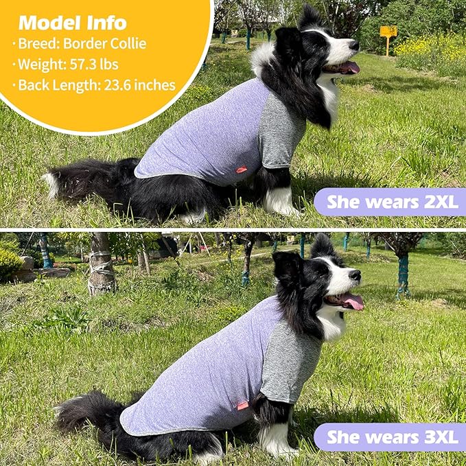 KYEESE 2Pack Dog Shirt with Sleeves, Lightweight Sun Protection Dog T Shirts for Large Dogs, Breathable Pet Tank Top Reflective Dogs Clothes for Summer Outdoor Walking, Purple+Grey, 3XL