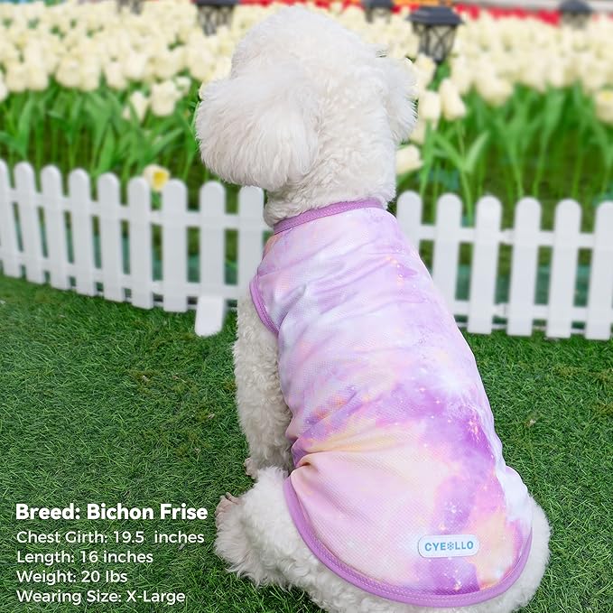 cyeollo 2pack Dog Shirt Cooling Breathable Sleeveless Summer Clothes for Dogs, Intant Cool T Shirts for Medium Large Dogs, Purple 2XL