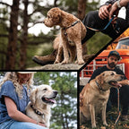 Wolfgang Heavy Duty Dog Leash, Pull-Tested to Over 800 lbs for Walking & Training, Overland Print, Small