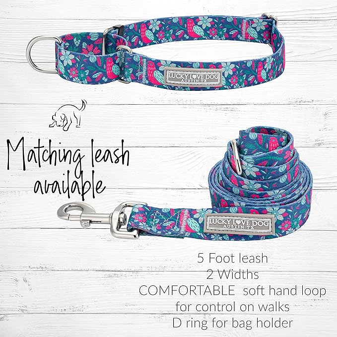 Lucky Love Dog Martingale Dog Collar - Adjustable, No-Slip, Comfortable, Durable, Soft Webbing & Stylish Patterned Collar for Male and Female Dogs Ideal for Training & Walking - Carriebelle, Large