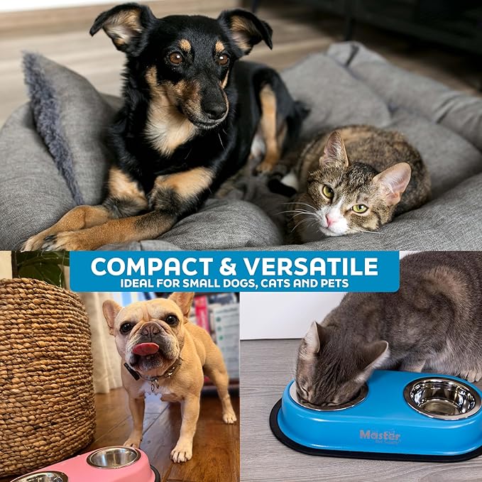 Master Pet Supply Double Dog Bowls Set with Elevated Base and 2 (8 oz) Stainless Steel Removable Dishes (Pistachio) – Double Cat Food Water Bowl, Dog Puppy Food Bowl Set, Rust Resistant