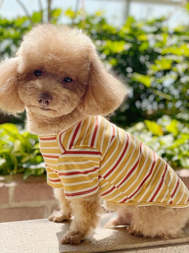 Dog Shirts Cotton Striped T-Shirt, Summer Pet Clothes for Small Dogs, 2-Pack Soft Puppy Apparel Cat Tee, Breathable Stretchy, Blue Yellow L