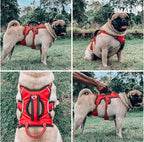 Tuff Pupper Tracker No Escape Dog Harness, Dual Attachment Points, Reflective 3M Stitching, XS - XL, March Red