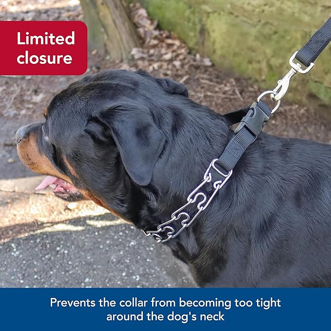 Coastal Pet Titan Easy-On Dog Prong with Buckle - Training Collar for Dogs - Durable Metal Dog Collar - Training Collar with Side Release Buckle - Black, 4 mm x 22"