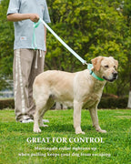Waterproof Martingale Collar for Dogs,Easy to Clean Dog Collars with Safety Quick Release Buckle,Rubber Collar for Medium Large Dogs Walking Training (Mint Green, L (19.6-25.9inch))