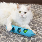 Kitty City Deluxe and Basic Cat Toy Box, Scratcher Ball Track, Cat Toys, Blue, (CM-10116)