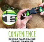 Mighty Paw Martingale Dog Collar 2.0 | Trainer Approved Limited Slip Collar with Stainless Steel Chain & Heavy Duty Buckle - Modified Cinch for Gentle & Effective Pet Training - S/M, Green