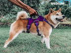 Tuff Pupper Escape Proof No Escape Dog Harness | 5 Point Adjustable Fit Harness for Dogs | Padded Dog Harnesses | Handle Dog Lift Harnesses