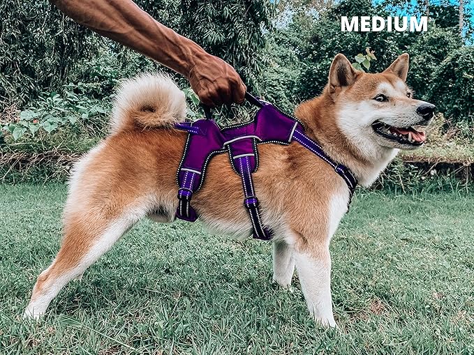 Tuff Pupper Escape Proof No Escape Dog Harness | 5 Point Adjustable Fit Harness for Dogs | Padded Dog Harnesses | Handle Dog Lift Harnesses