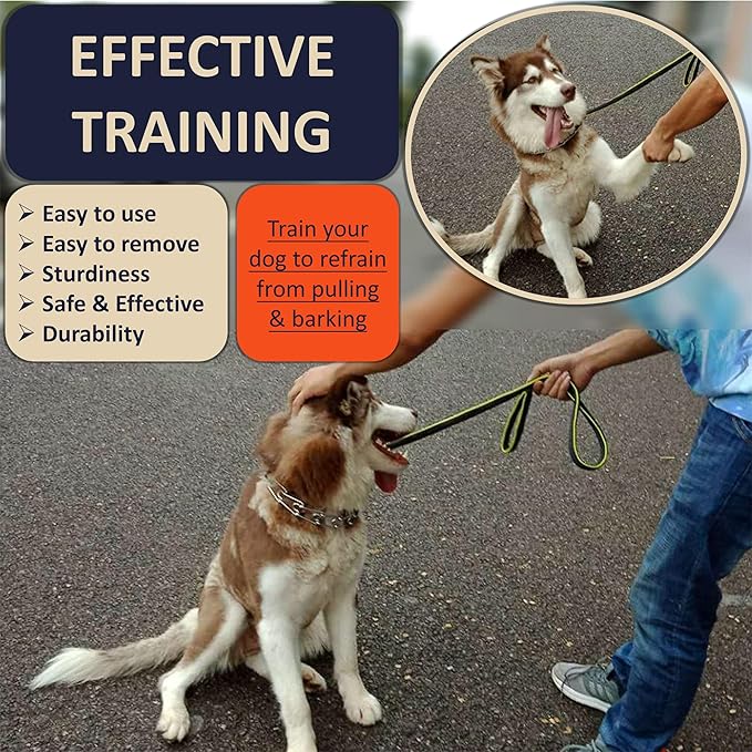Quick Release Dog Training Collar Adjustable Stainless Steel Collar for Small Medium Large Dog (Tan, XL Neck Girth 16.9"-22.2")