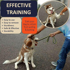 Quick Release Dog Training Collar Adjustable Stainless Steel Collar for Small Medium Large Dog (Pink, XL Neck Girth 16.9"-22.2")