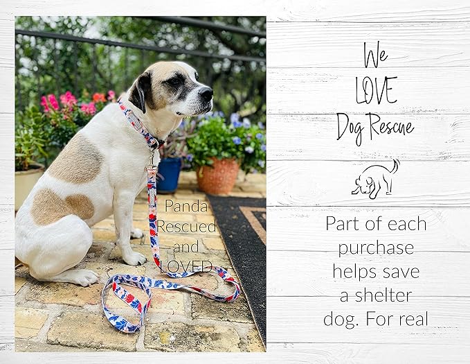 Lucky Love Dog Martingale Collar, Premium Fun Girl No Slip Collars, Strawberry Martingale Large Dog Collar, Great for Whippets, Greyhounds, and More (Sweet Berry, Large)