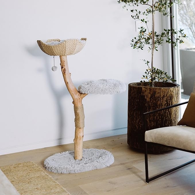 Mau Lifestyle Gray Uni Cat Tree, 43" H, 27 LBS, Grey/Gray