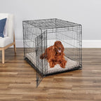 MidWest Homes for Pets 42-Inch iCrate for Large Breeds, 71-90 lbs, Single Door Folding Dog Crate with Divider Panel, Leak-Proof Tray & Secure Latch, Portable, Durable & Easy to Assemble