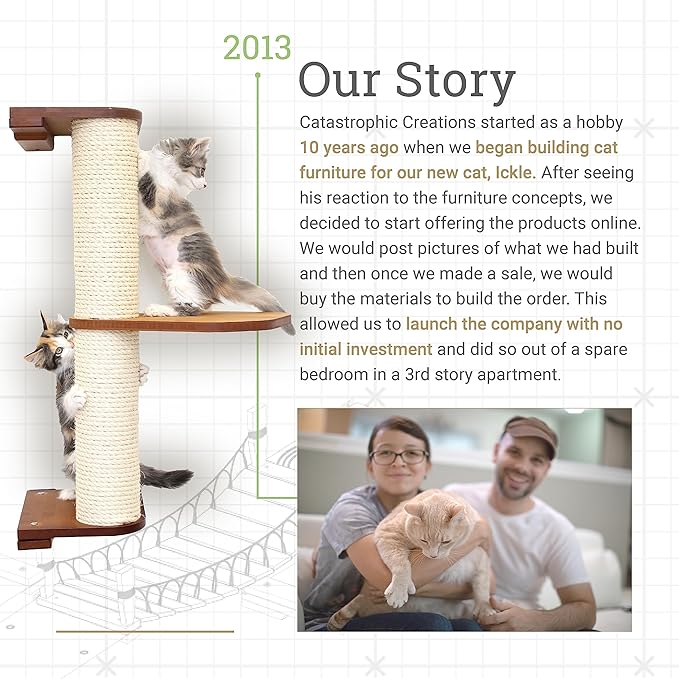 Catastrophic Creations Cat Tree with Hammock Perch – Mounting Wall Cat Shelves w/Canvas Fabric – Bamboo Wood Cat Tree Floating Steps – Lounger & Climber Cat Trees – Modern Cat Furniture