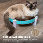 Catstages Scratch,Snuggle & Rest – 2‑in‑1 Indoor Cat Scratcher & Elevated Cat Lounger,Catnip Included,(Pack of 6)