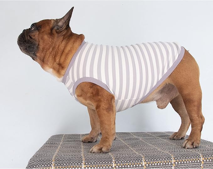 iChoue English Bulldog 100% Breathable Cotton Striped T Shirts Halloween Vest Clothes for Medium Dogs Tank Tops French Frenchie Pug Boston Terrier Pitbull Grey White Stripes - XLarge